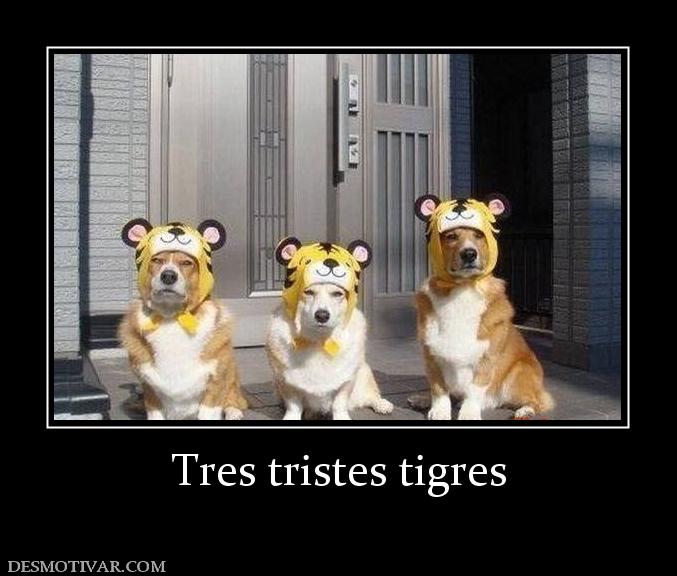 Tres tristes tigres