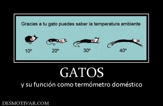 GATOS y su función como termómetro doméstico