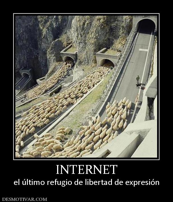 INTERNET el último refugio de libertad de expresión