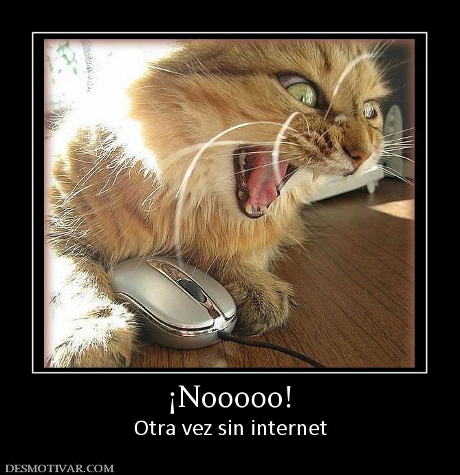 ¡Nooooo! Otra vez sin internet