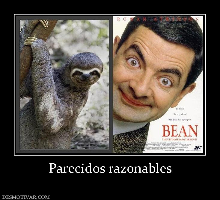 Parecidos razonables