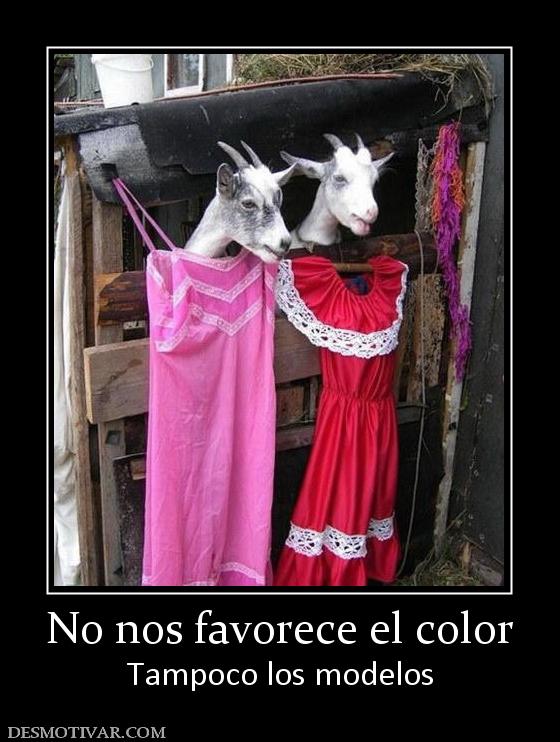 No nos favorece el color Tampoco los modelos