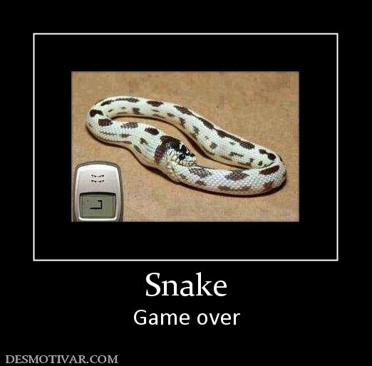 Snake Game over