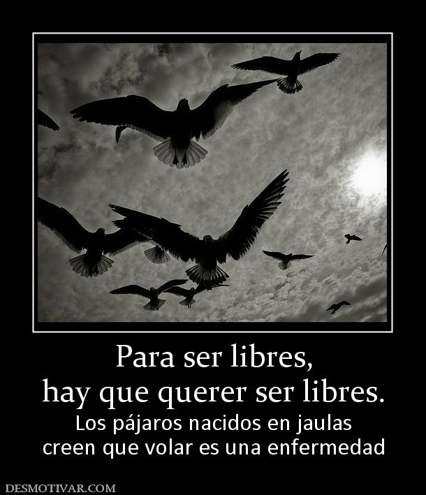 Para ser libres, hay que querer ser libres. Los pájaros nacidos en jaulas creen que volar es una enfermedad