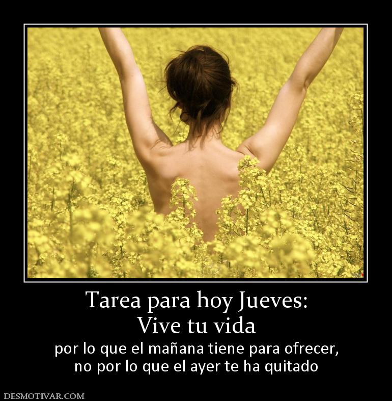 Tarea para hoy Jueves: Vive tu vida  por lo que el mañana tiene para ofrecer, no por lo que el ayer te ha quitado