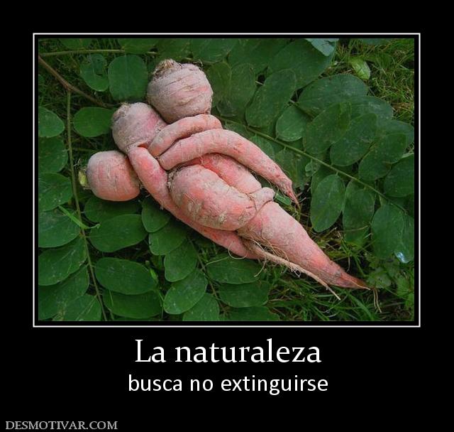 La naturaleza busca no extinguirse