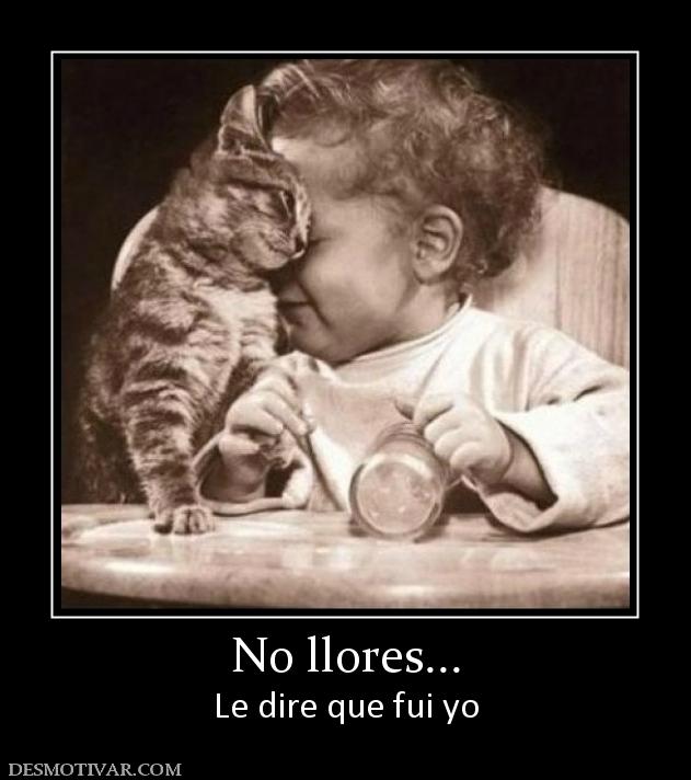 No llores... Le dire que fui yo