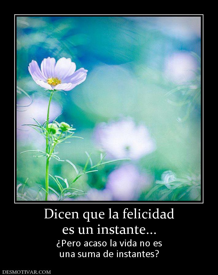 Dicen que la felicidad es un instante... ¿Pero acaso la vida no es una suma de instantes?