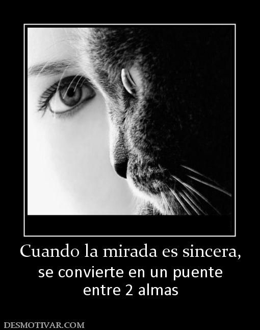 Cuando la mirada es sincera, se convierte en un puente entre 2 almas