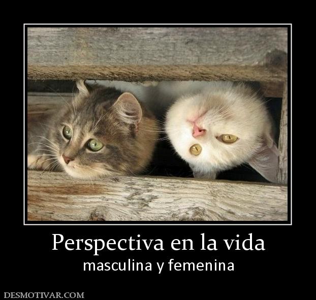 Perspectiva en la vida masculina y femenina