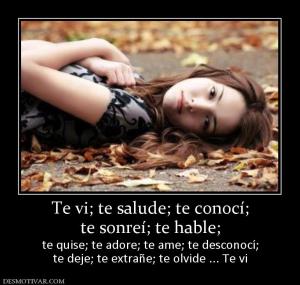 Te vi; te salude; te conocí; te sonreí; te hable;  te quise; te adore; te ame; te desconocí; te deje; te extrañe; te olvide ... Te vi