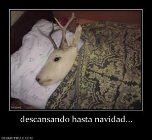 descansando hasta navidad...