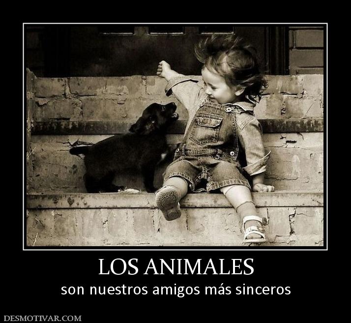 LOS ANIMALES son nuestros amigos más sinceros