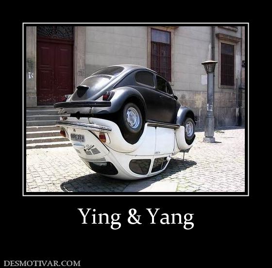 Ying & Yang