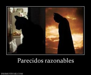 Parecidos razonables