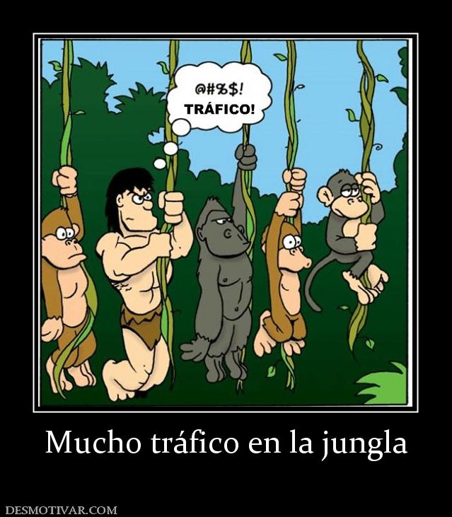 Mucho tráfico en la jungla