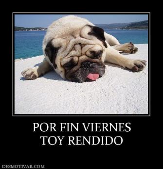 POR FIN VIERNES TOY RENDIDO