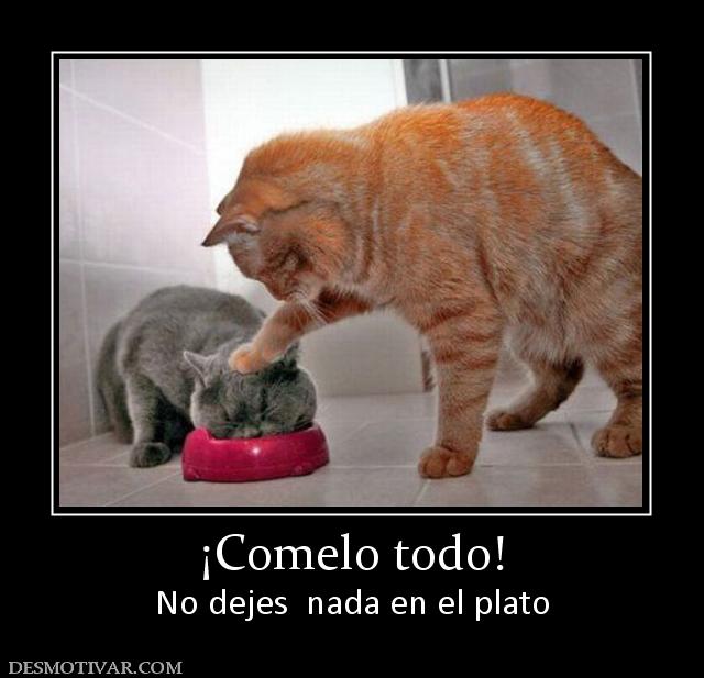 ¡Comelo todo! No dejes  nada en el plato