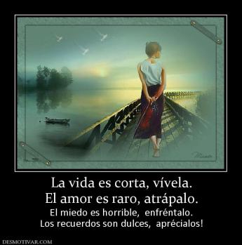 La vida es corta, vívela. El amor es raro, atrápalo. El miedo es horrible,  enfréntalo. Los recuerdos son dulces,  aprécialos!