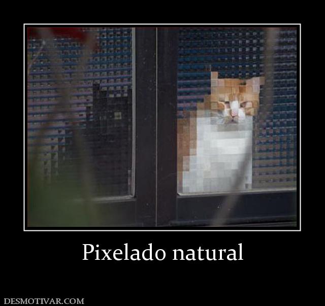 Pixelado natural