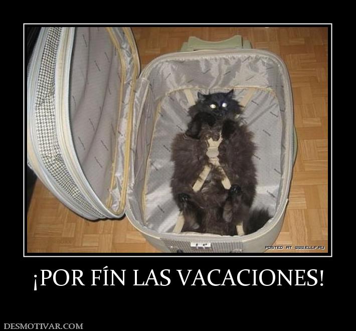 ¡POR FÍN LAS VACACIONES!