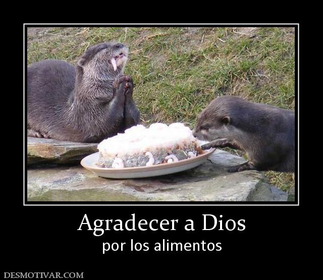 Agradecer a Dios por los alimentos