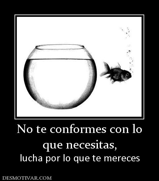 No te conformes con lo que necesitas, lucha por lo que te mereces