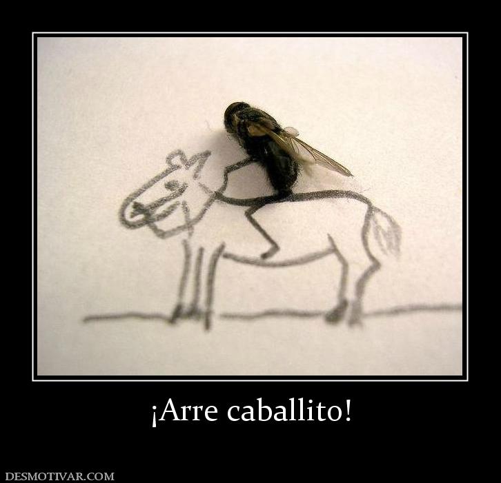 ¡Arre caballito!