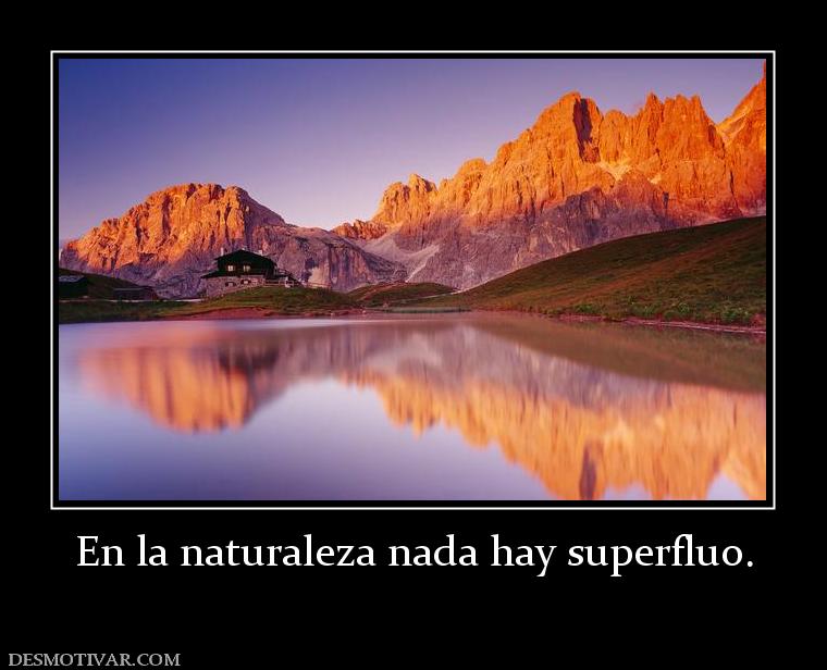 En la naturaleza nada hay superfluo.