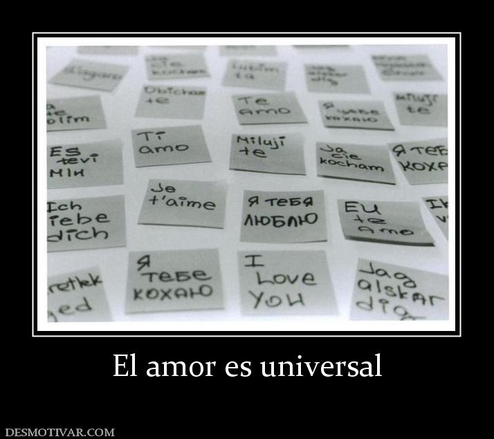 El amor es universal