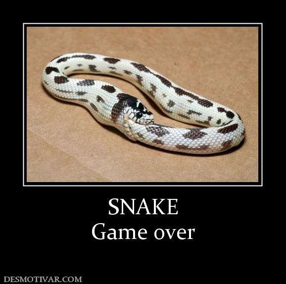 SNAKE Game over