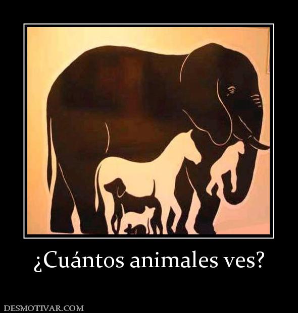 ¿Cuántos animales ves?