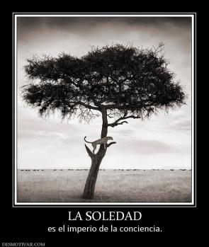 LA SOLEDAD es el imperio de la conciencia.