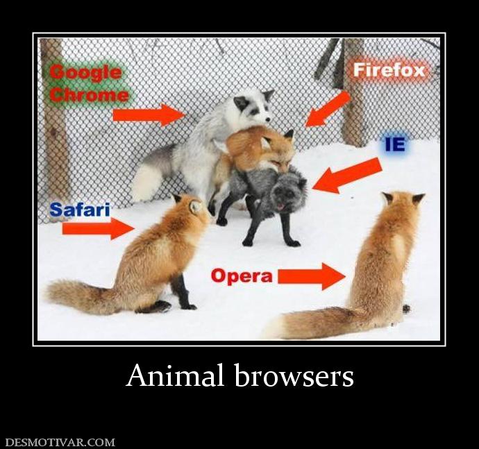 Desmotivaciones Animal browsers