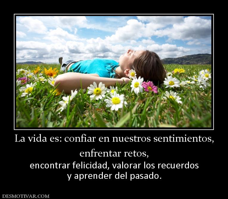 La vida es: confiar en nuestros sentim enfrentar retos, encontrar felicidad, valorar los recuerdos y aprender del pasado.