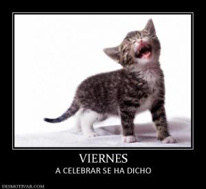 VIERNES A CELEBRAR SE HA DICHO