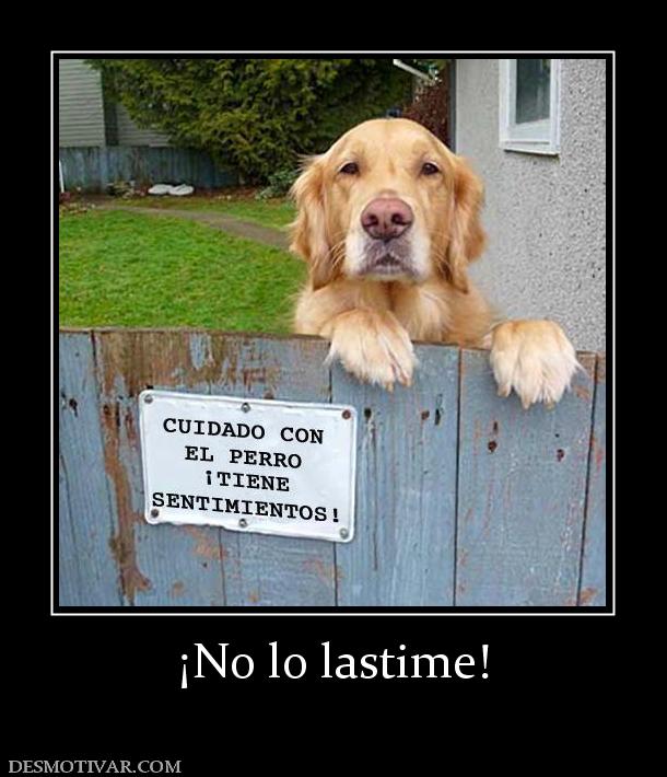 ¡No lo lastime!