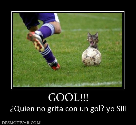 GOOL!!! ¿Quien no grita con un gol? yo SIII