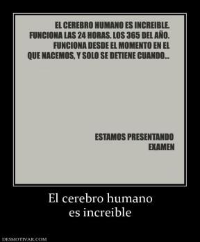 El cerebro humano es increible