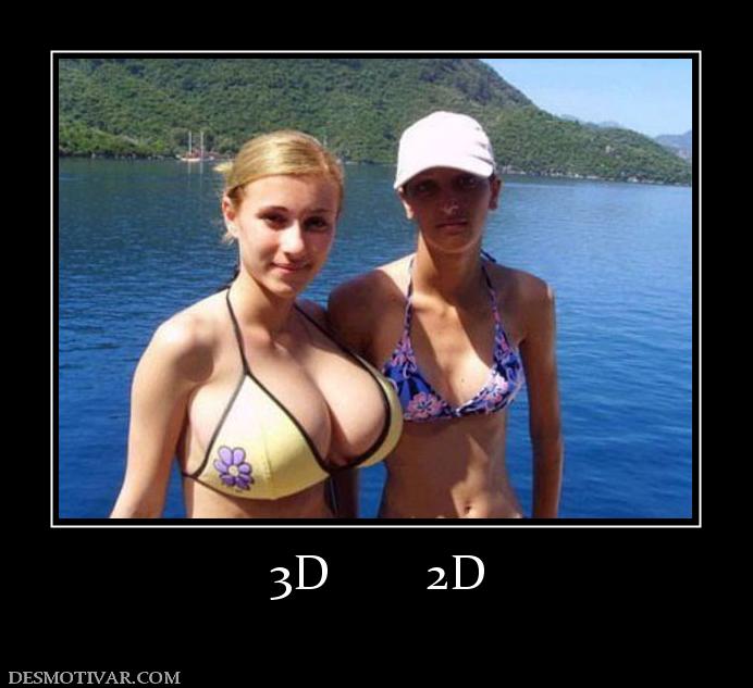 3D        2D