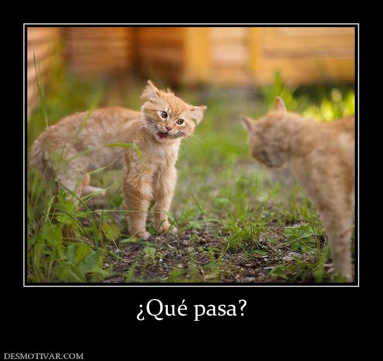 desmotivaciones-qu-pasa