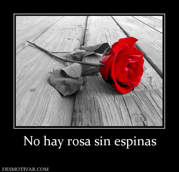 No hay rosa sin espinas