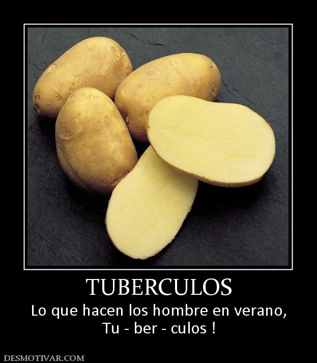 TUBERCULOS Lo que hacen los hombre en verano, Tu - ber - culos !