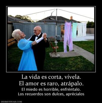 La vida es corta, vívela. El amor es raro, atrápalo. El miedo es horrible, enfréntalo. Los recuerdos son dulces, aprécialos