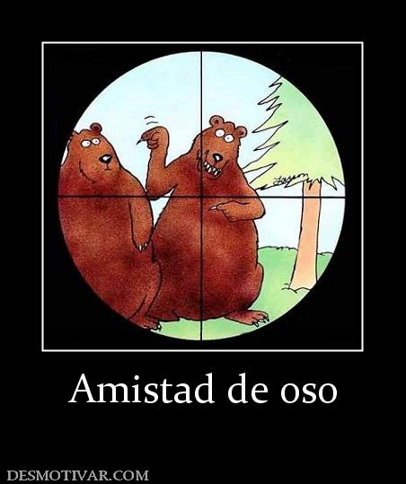 Amistad de oso