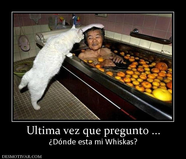 Ultima vez que pregunto ... ¿Dónde esta mi Whiskas?