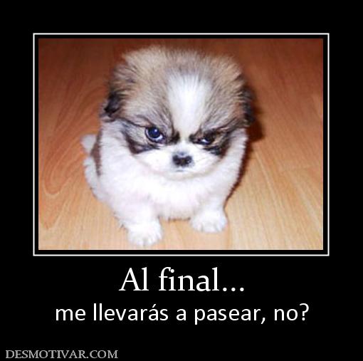 Al final... me llevarás a pasear, no?