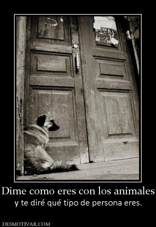 Dime como eres con los animales y te diré qué tipo de persona eres.