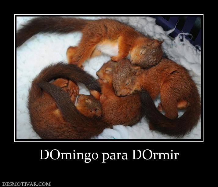 DOmingo para DOrmir