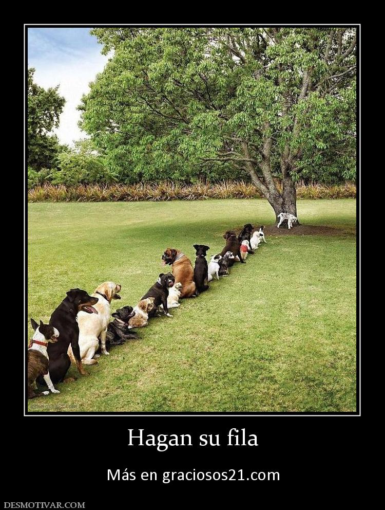 Hagan su fila  Más en graciosos21.com